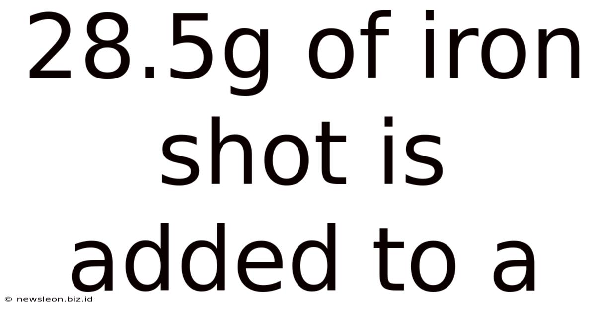 28.5g Of Iron Shot Is Added To A