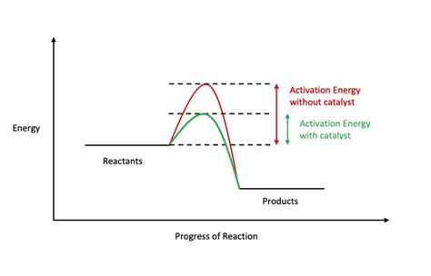 A Catalyst Speeds Up A Chemical Reaction By