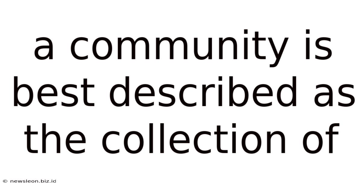 A Community Is Best Described As The Collection Of