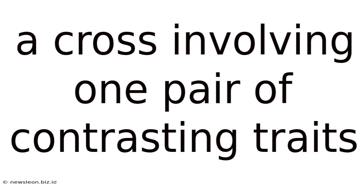 A Cross Involving One Pair Of Contrasting Traits