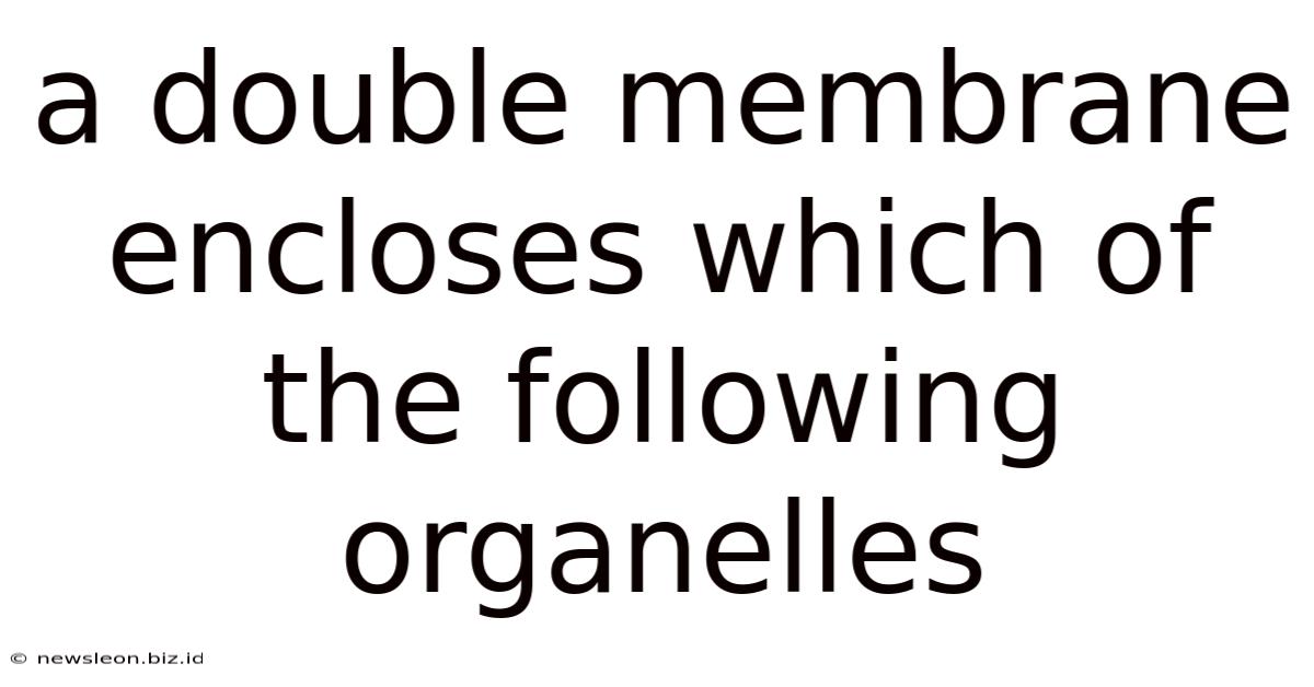 A Double Membrane Encloses Which Of The Following Organelles