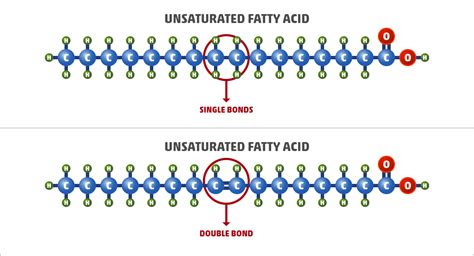 A Fatty Acid Is Unsaturated If It