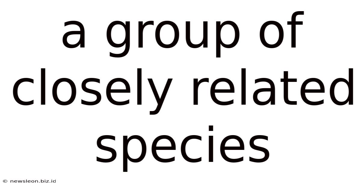 A Group Of Closely Related Species
