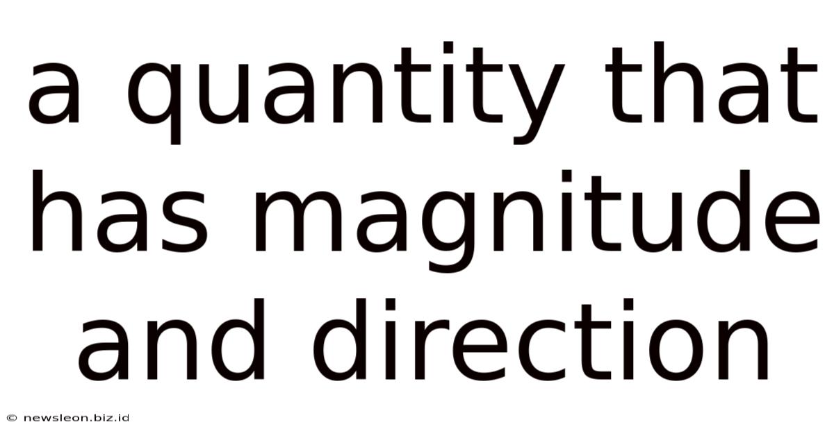 A Quantity That Has Magnitude And Direction