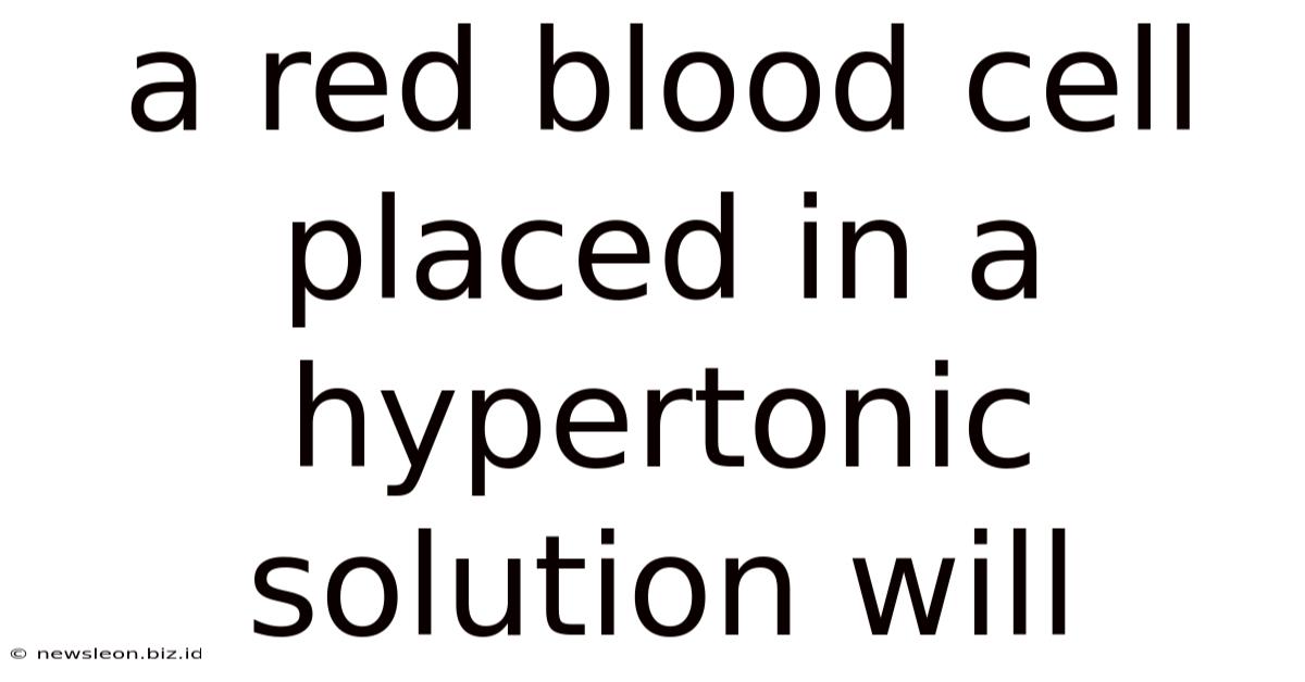 A Red Blood Cell Placed In A Hypertonic Solution Will