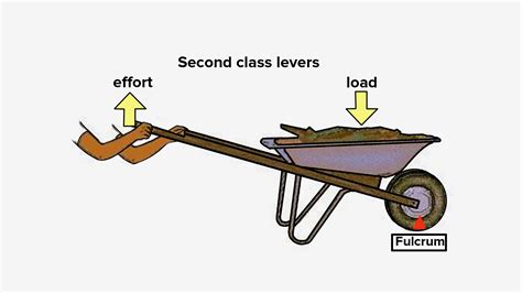 A Wheelbarrow Is An Example Of Which Class Of Lever