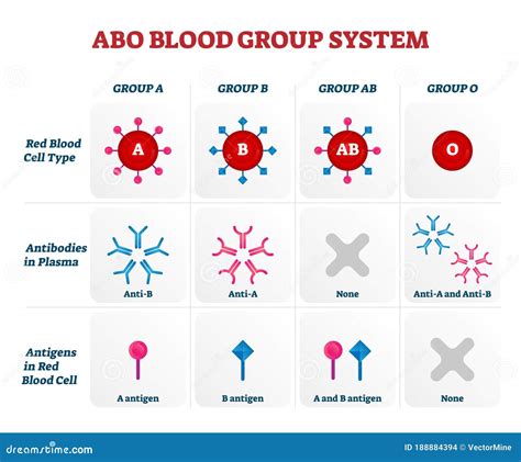 Abo Blood Grouping Is An Example Of