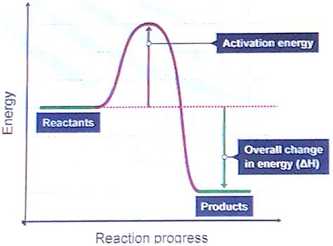 Activation Energy For The Forward Reaction