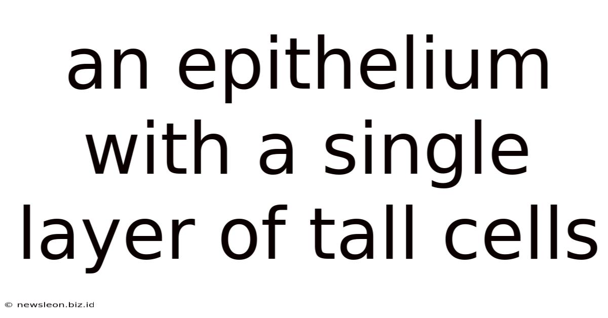 An Epithelium With A Single Layer Of Tall Cells