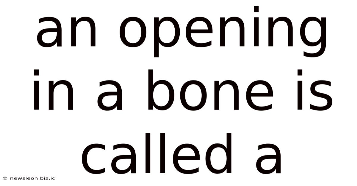 An Opening In A Bone Is Called A