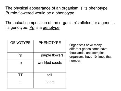 An Organism's Physical Appearance Is Its