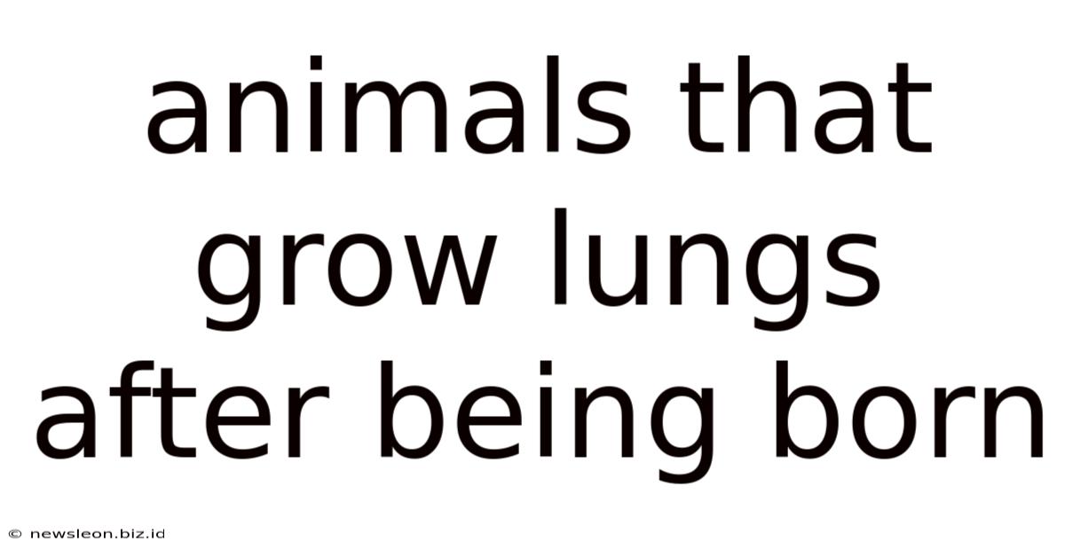 Animals That Grow Lungs After Being Born
