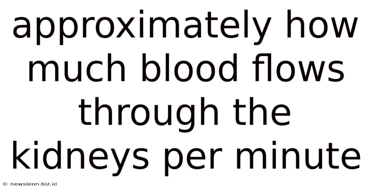 Approximately How Much Blood Flows Through The Kidneys Per Minute