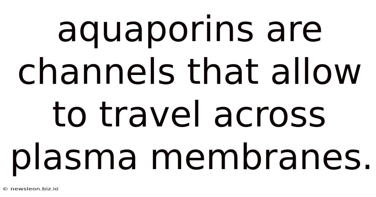 Aquaporins Are Channels That Allow To Travel Across Plasma Membranes.