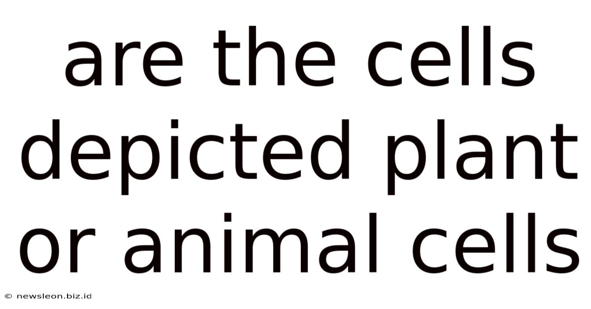 Are The Cells Depicted Plant Or Animal Cells
