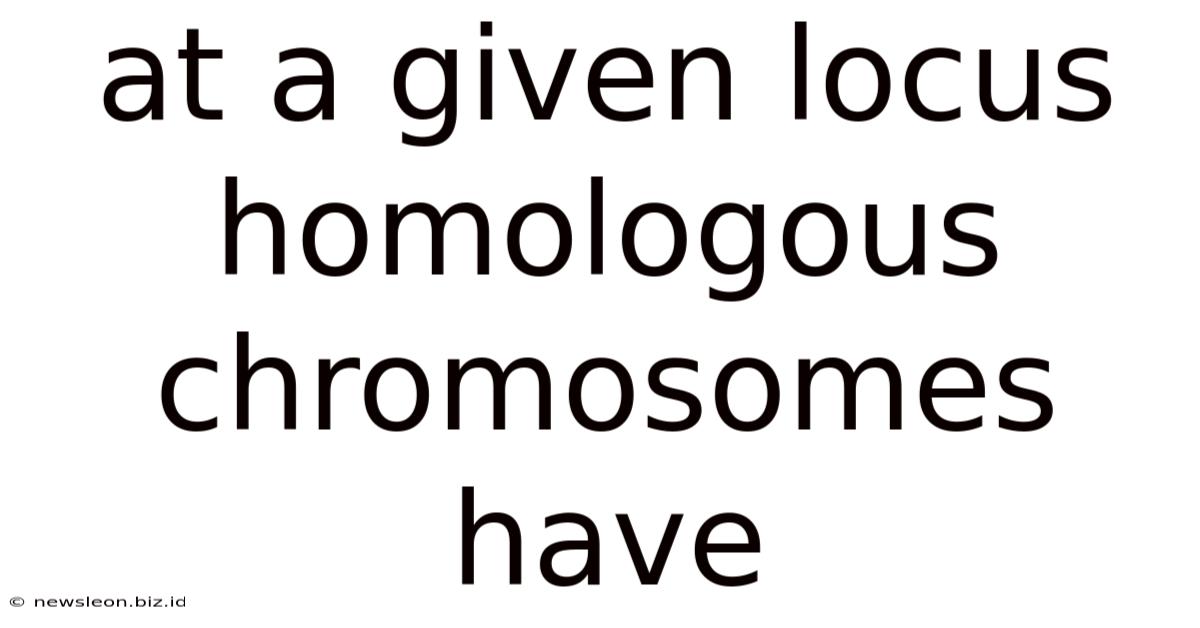 At A Given Locus Homologous Chromosomes Have