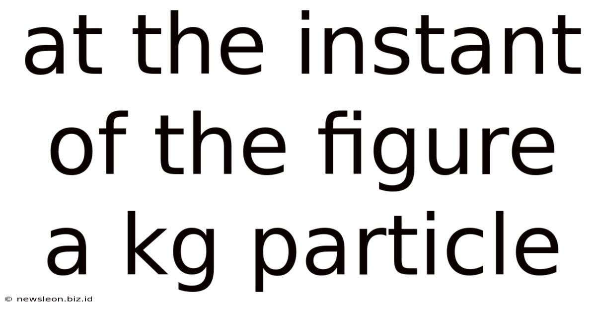 At The Instant Of The Figure A Kg Particle