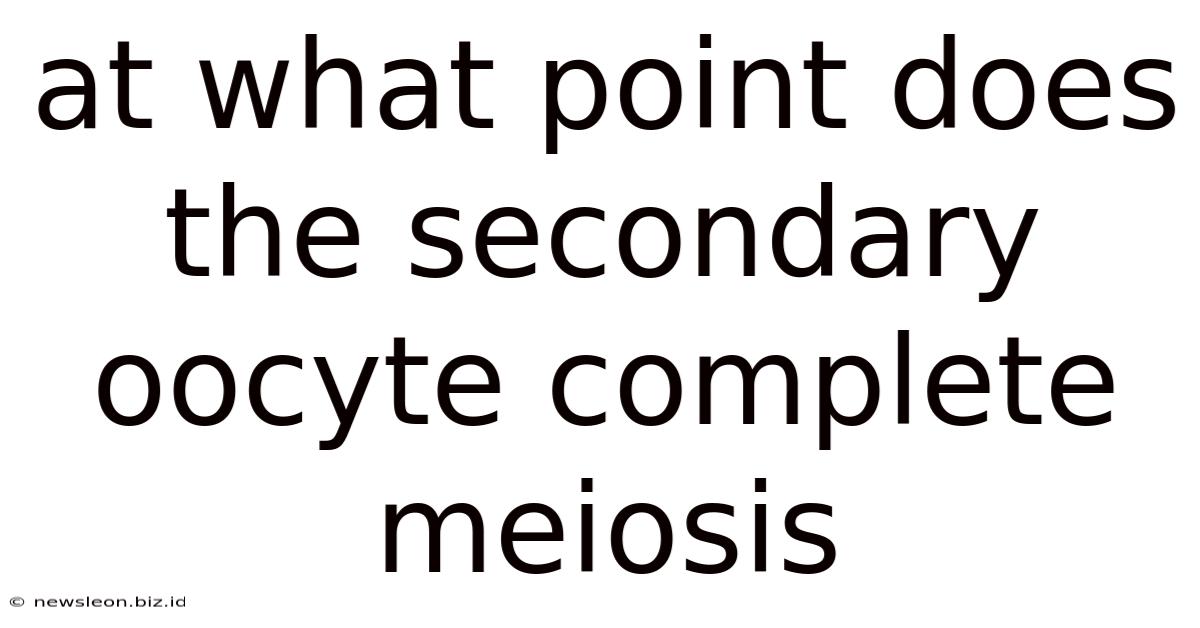 At What Point Does The Secondary Oocyte Complete Meiosis