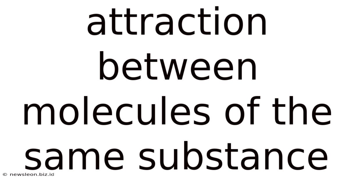 Attraction Between Molecules Of The Same Substance