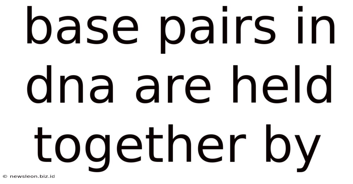 Base Pairs In Dna Are Held Together By