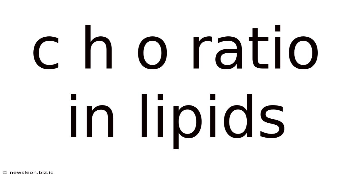 C H O Ratio In Lipids