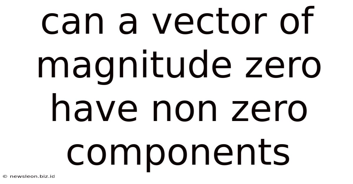 Can A Vector Of Magnitude Zero Have Non Zero Components