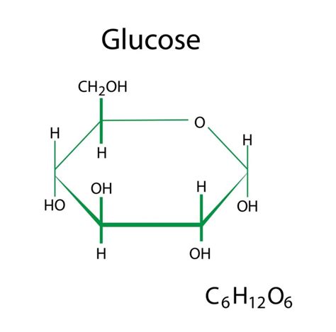 Carbohydrates Are Composed Of Which Three Elements