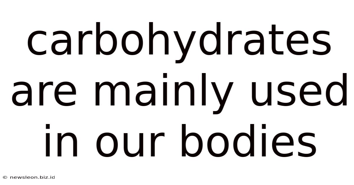 Carbohydrates Are Mainly Used In Our Bodies
