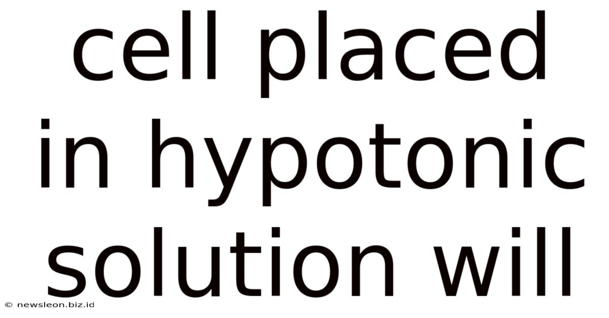 Cell Placed In Hypotonic Solution Will