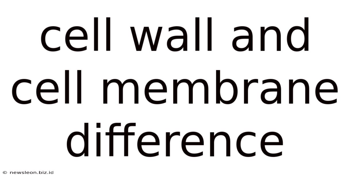 Cell Wall And Cell Membrane Difference