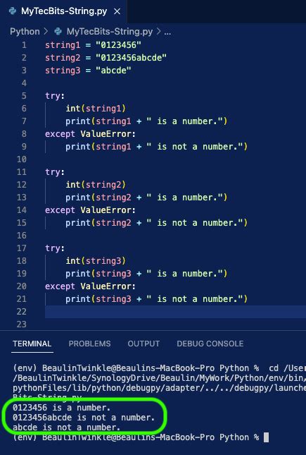 Check If String Is A Number Python