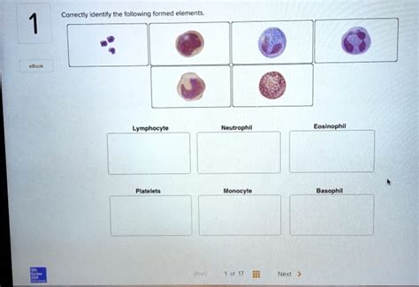 Correctly Identify The Following Formed Elements.