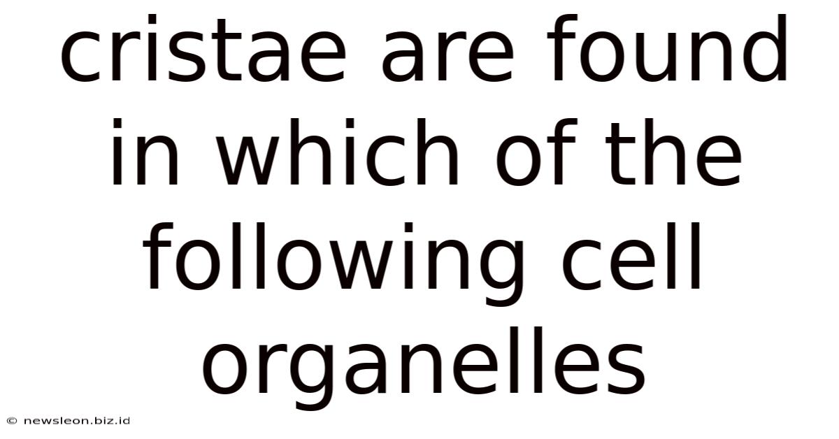 Cristae Are Found In Which Of The Following Cell Organelles
