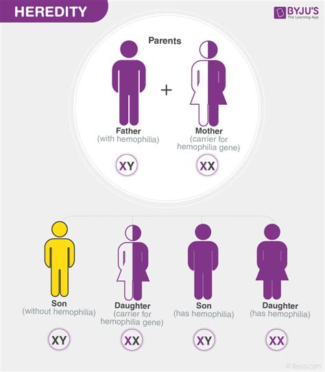 Define Heredity Explain The Mechanism Of Hereditary Changes