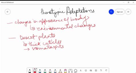 Define Phenotypic Adaptation Give One Example