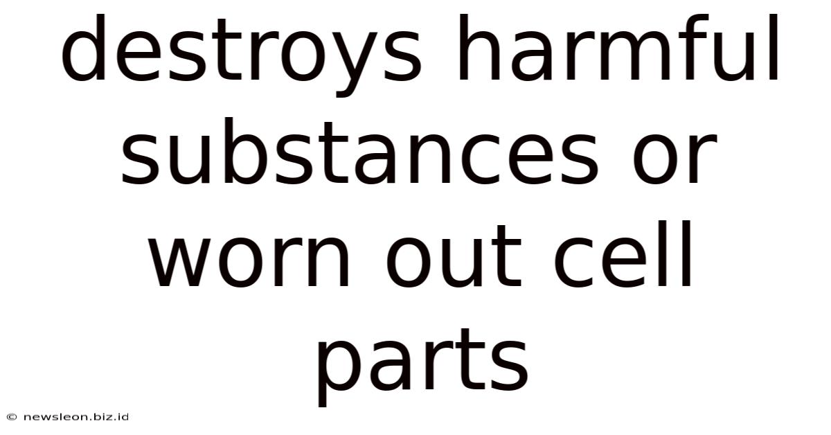 Destroys Harmful Substances Or Worn Out Cell Parts