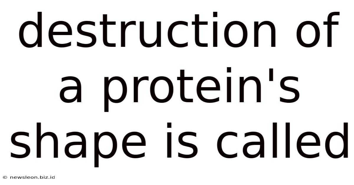 Destruction Of A Protein's Shape Is Called