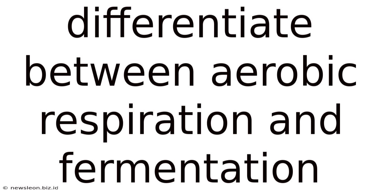 Differentiate Between Aerobic Respiration And Fermentation