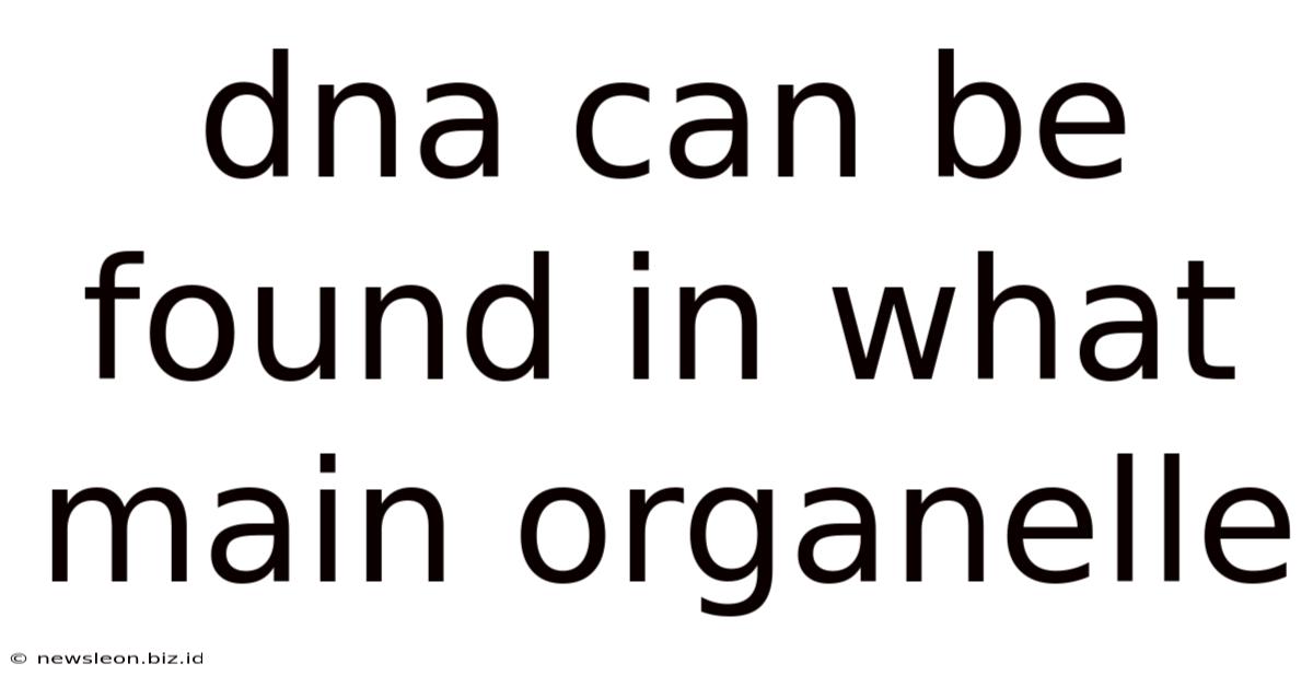 Dna Can Be Found In What Main Organelle