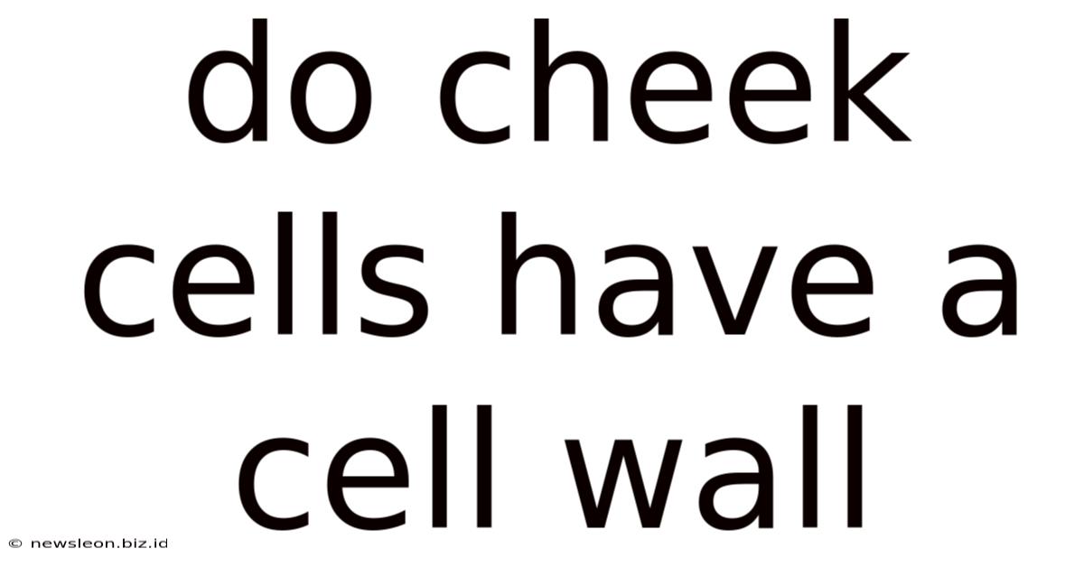 Do Cheek Cells Have A Cell Wall