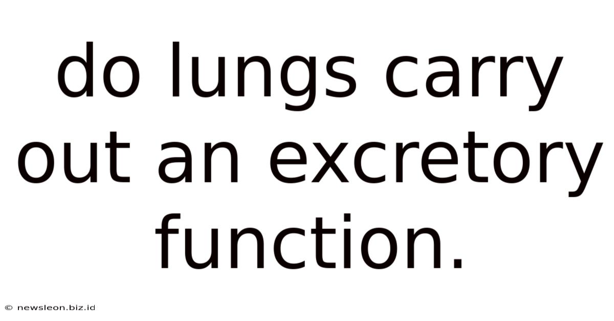Do Lungs Carry Out An Excretory Function.