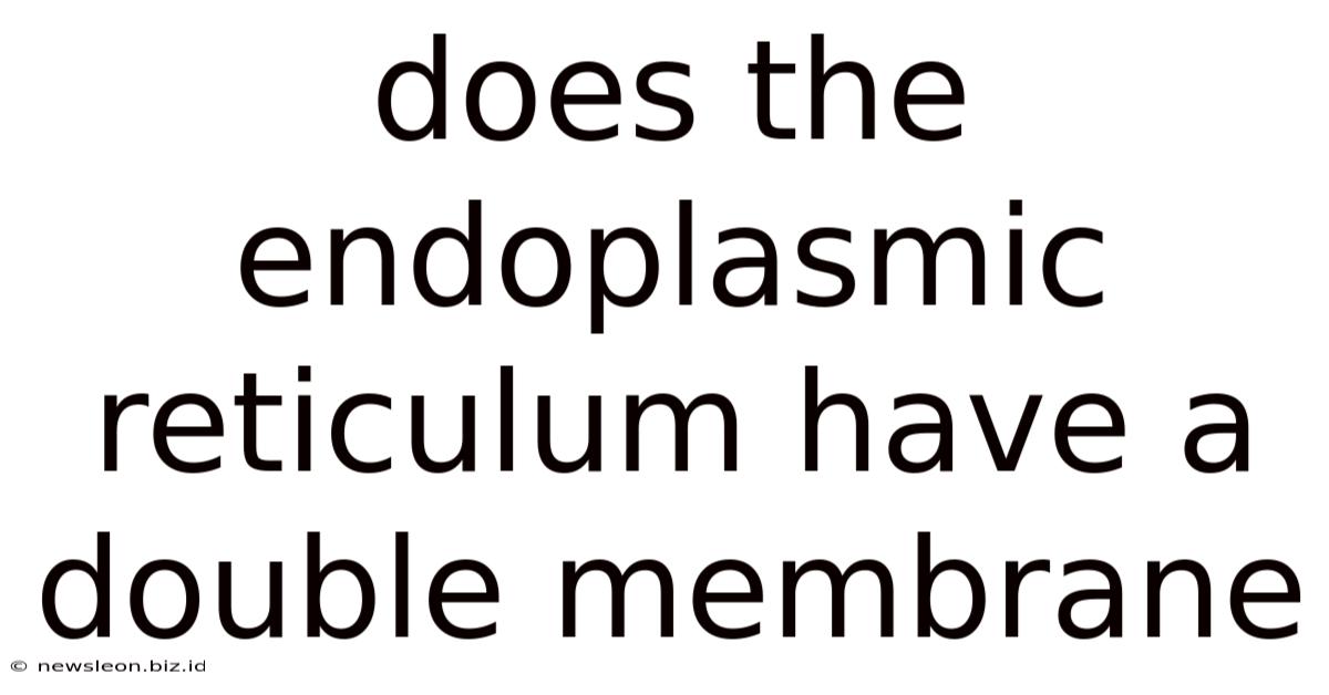 Does The Endoplasmic Reticulum Have A Double Membrane