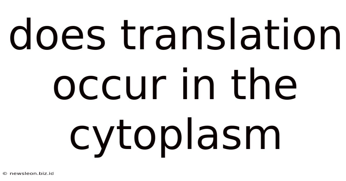 Does Translation Occur In The Cytoplasm