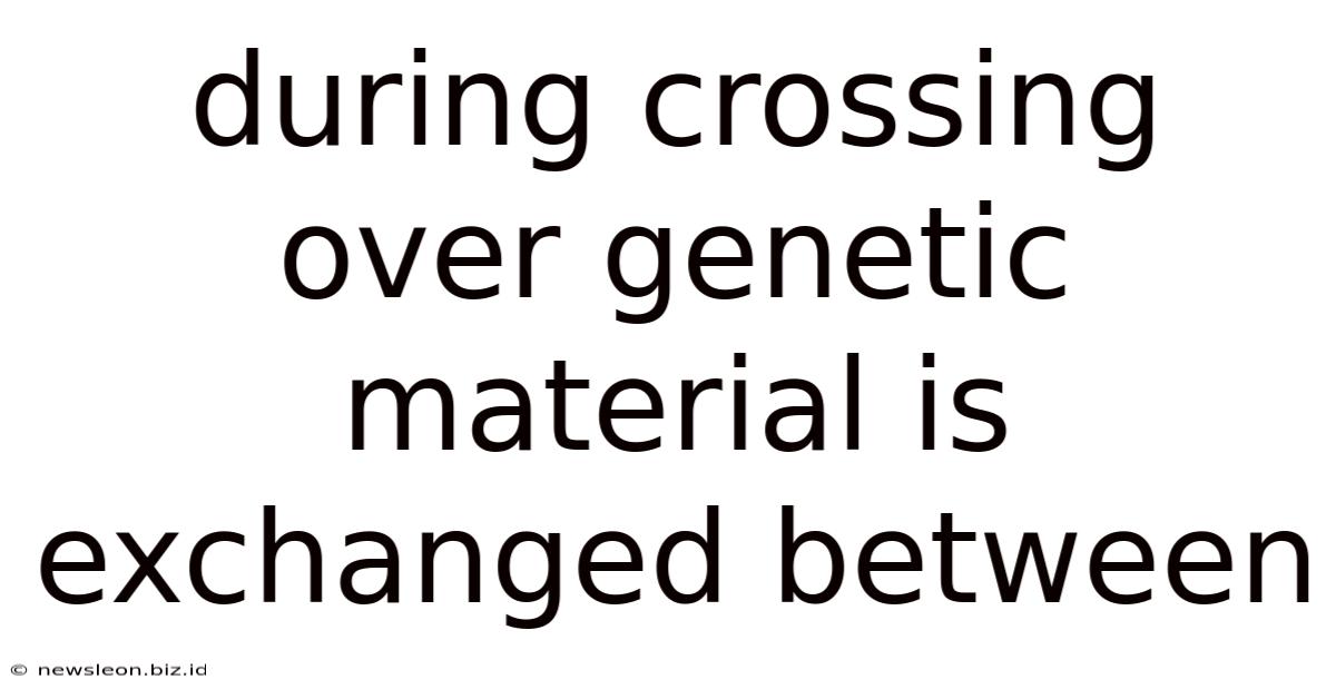 During Crossing Over Genetic Material Is Exchanged Between