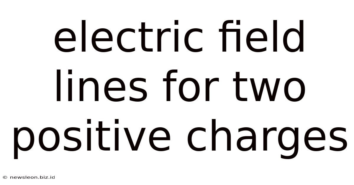 Electric Field Lines For Two Positive Charges