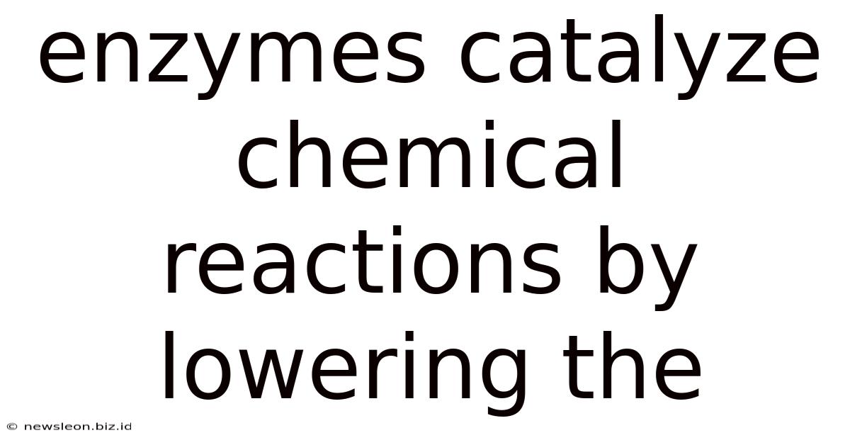 Enzymes Catalyze Chemical Reactions By Lowering The