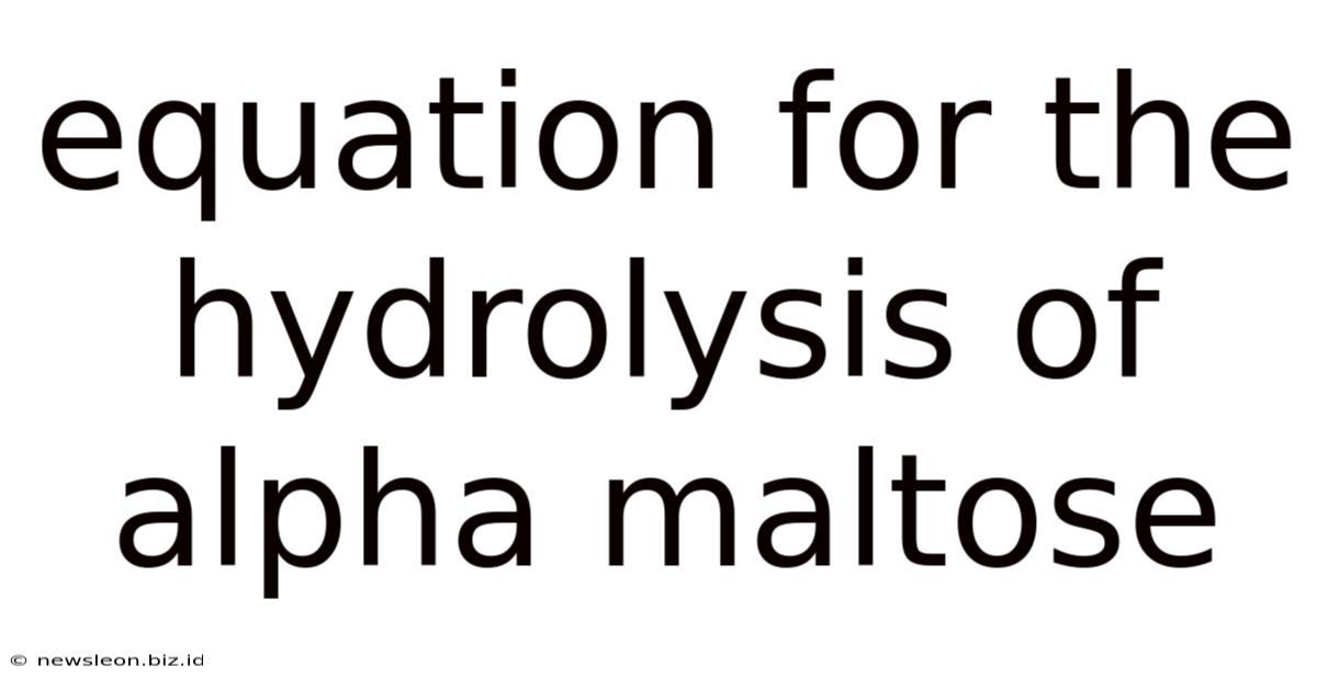 Equation For The Hydrolysis Of Alpha Maltose