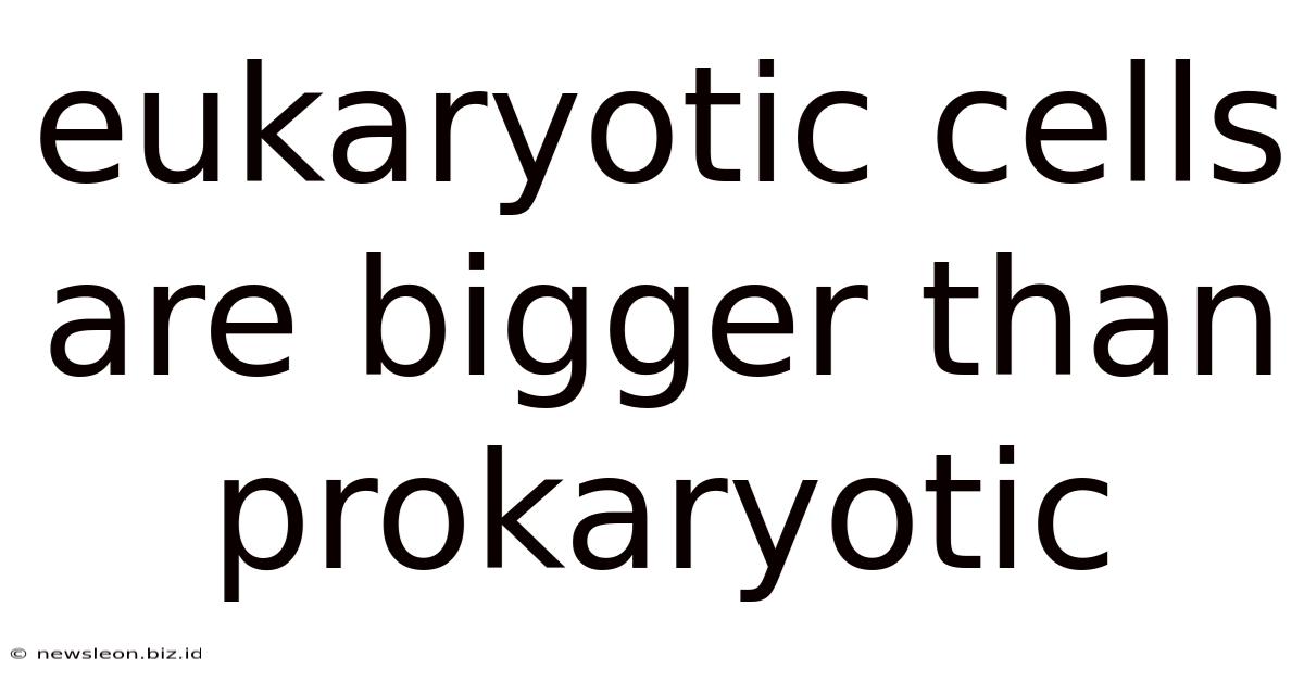 Eukaryotic Cells Are Bigger Than Prokaryotic