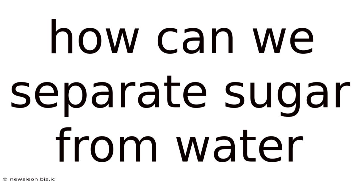 How Can We Separate Sugar From Water