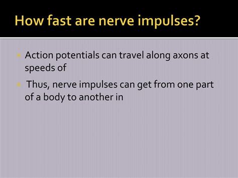 How Fast Can A Nerve Impulse Travel